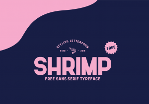 Anton_Darri_Pálmarsson_SHRIMP