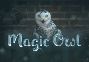 Magic_Owl_Shaped_Fonts